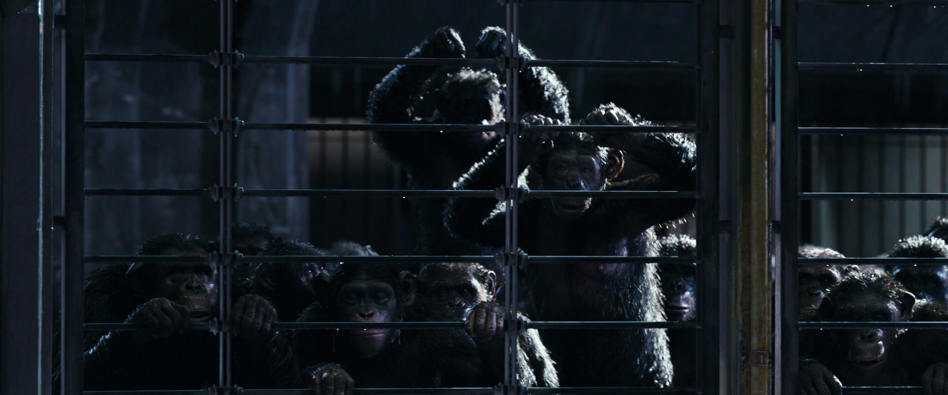 War for the Planet of the Apes (2017) HD screenshot 11009