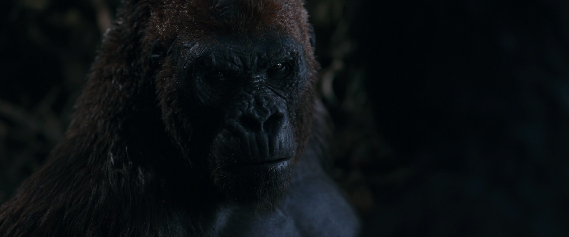 War for the Planet of the Apes (2017) screencap 1101