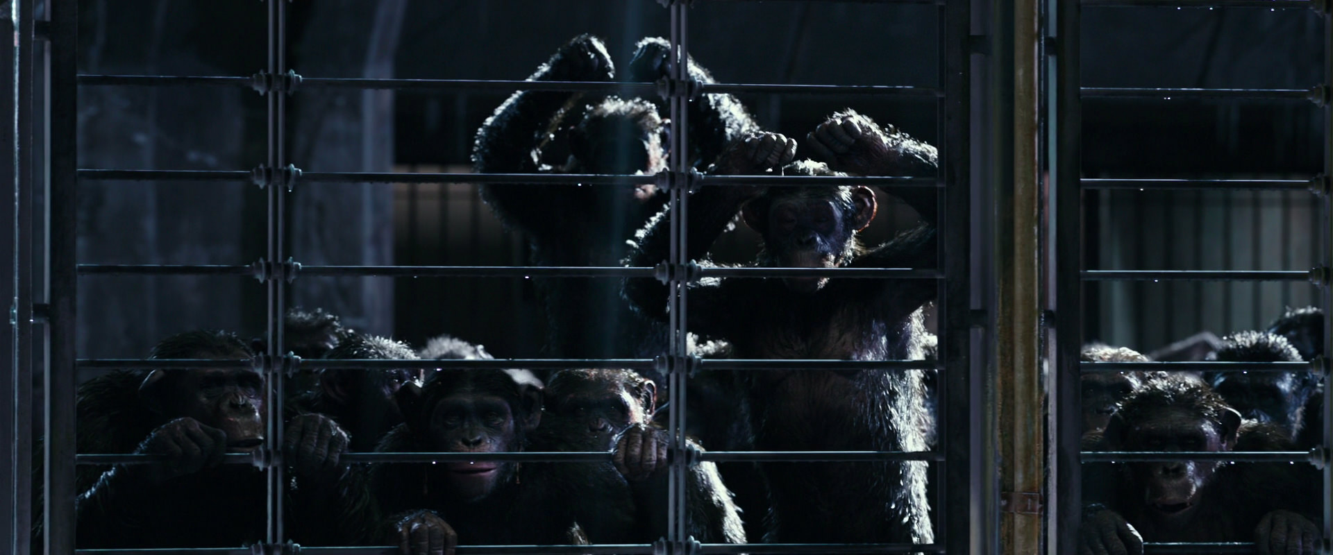 War for the Planet of the Apes (2017) screencap 11010