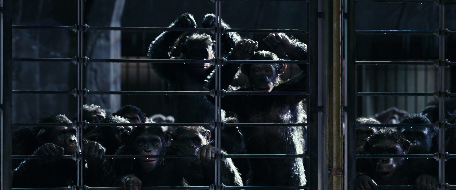 War for the Planet of the Apes (2017) movie still 11011