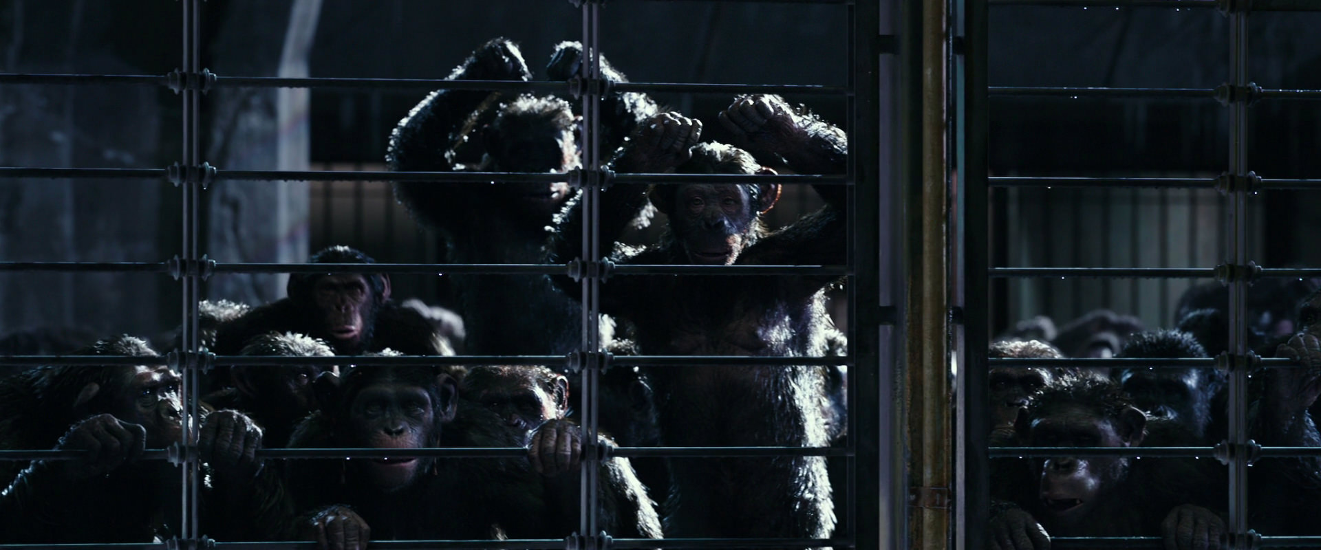 War for the Planet of the Apes (2017) HD screenshot 11012