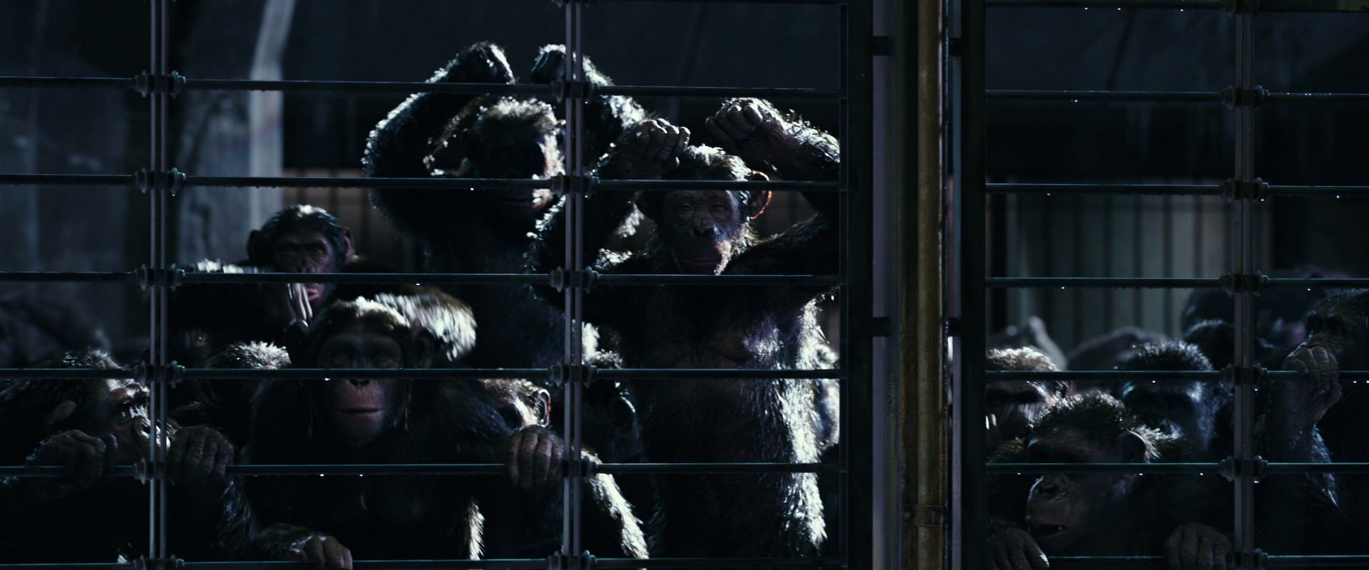 War for the Planet of the Apes (2017) screencap 11013
