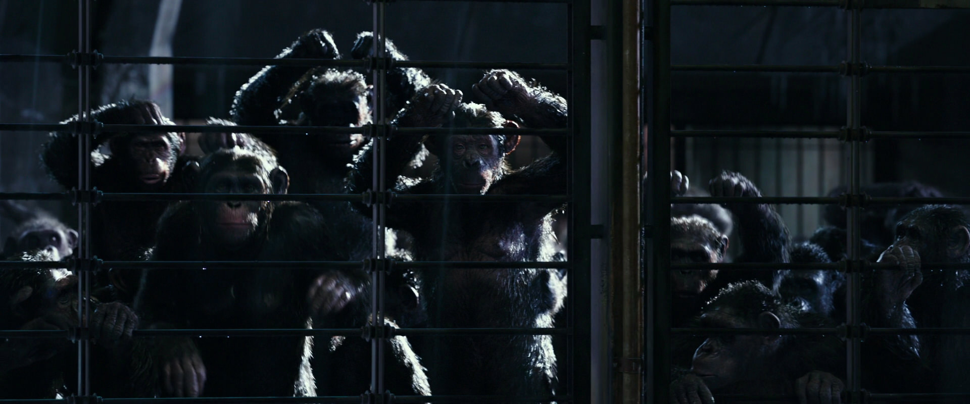 War for the Planet of the Apes (2017) movie still 11014