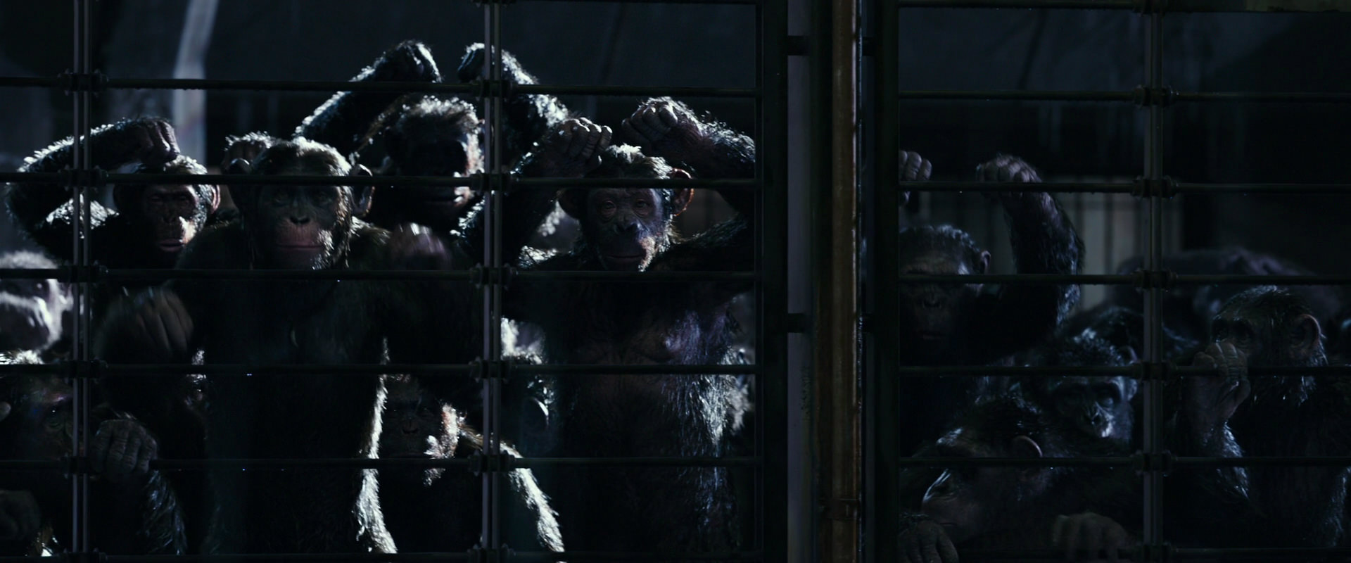 War for the Planet of the Apes (2017) HD screenshot 11015