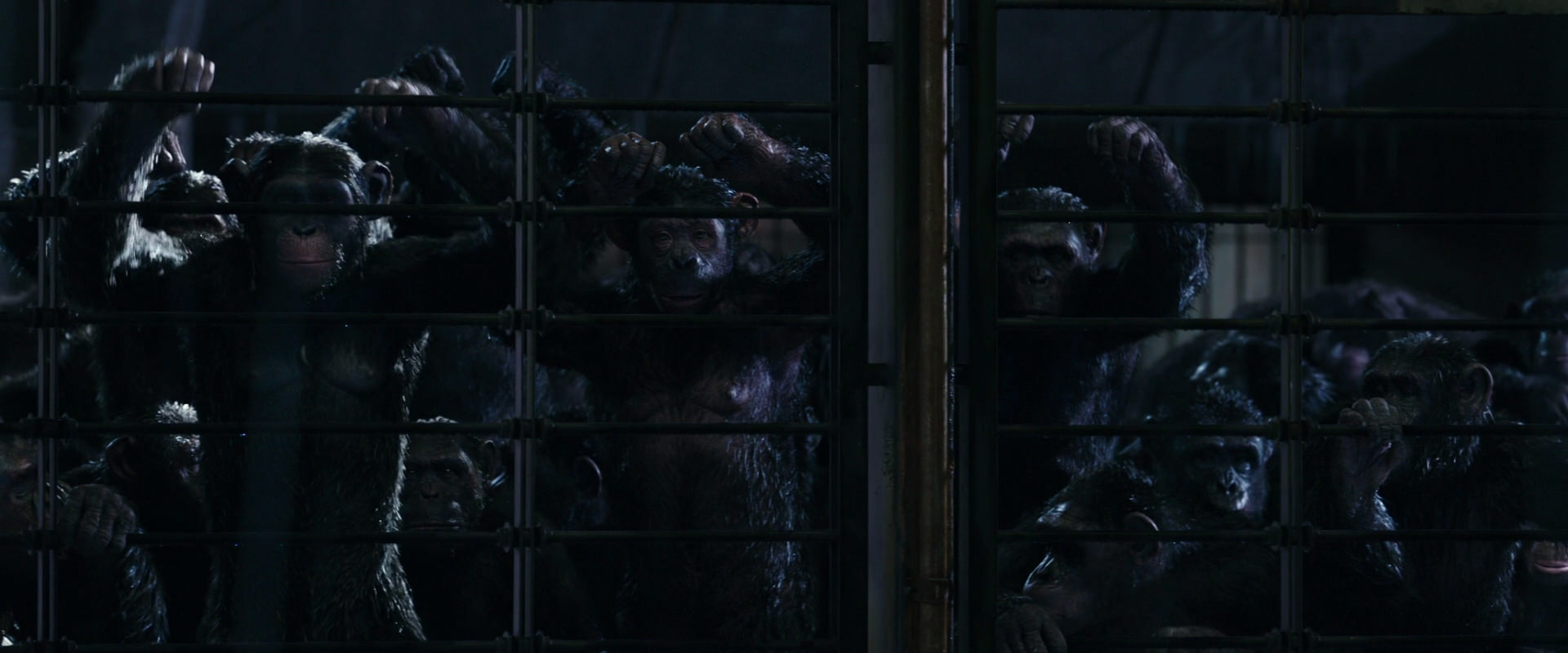 War for the Planet of the Apes (2017) screencap 11016