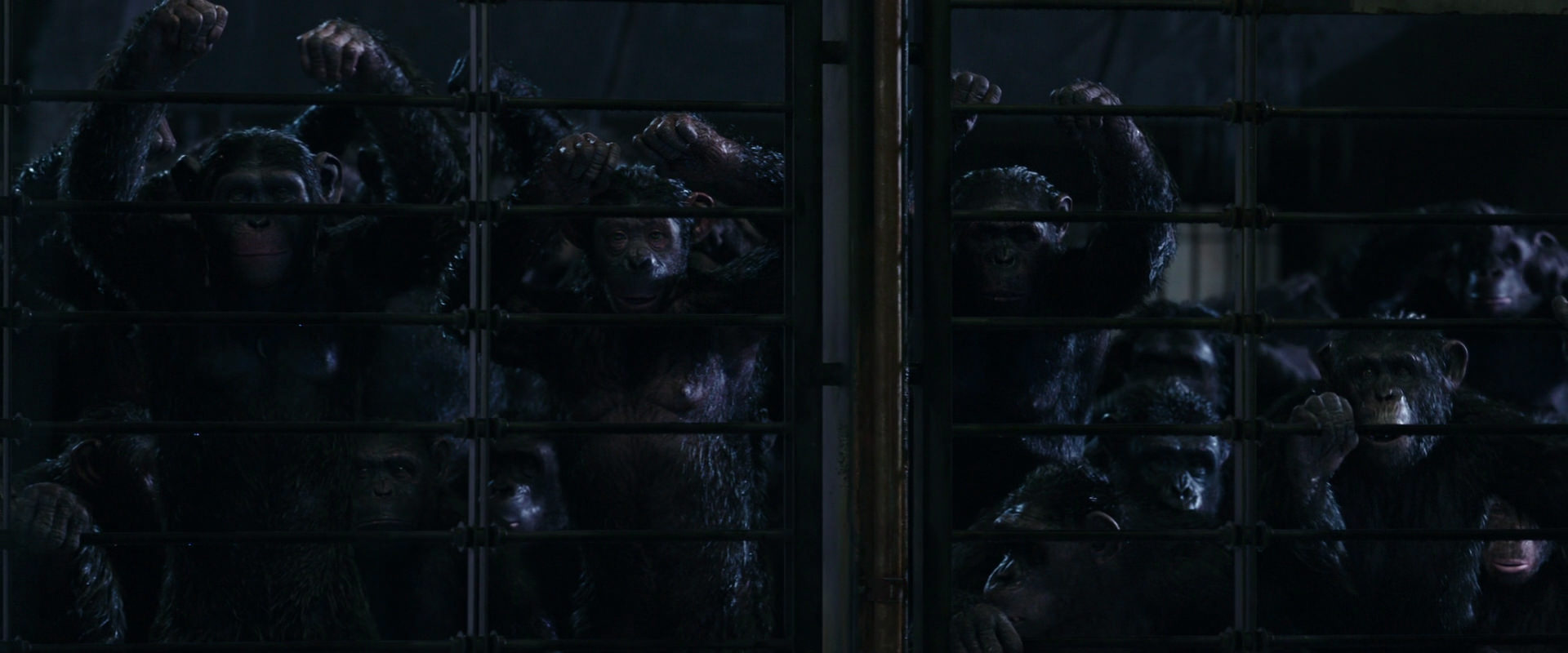 War for the Planet of the Apes (2017) movie still 11017