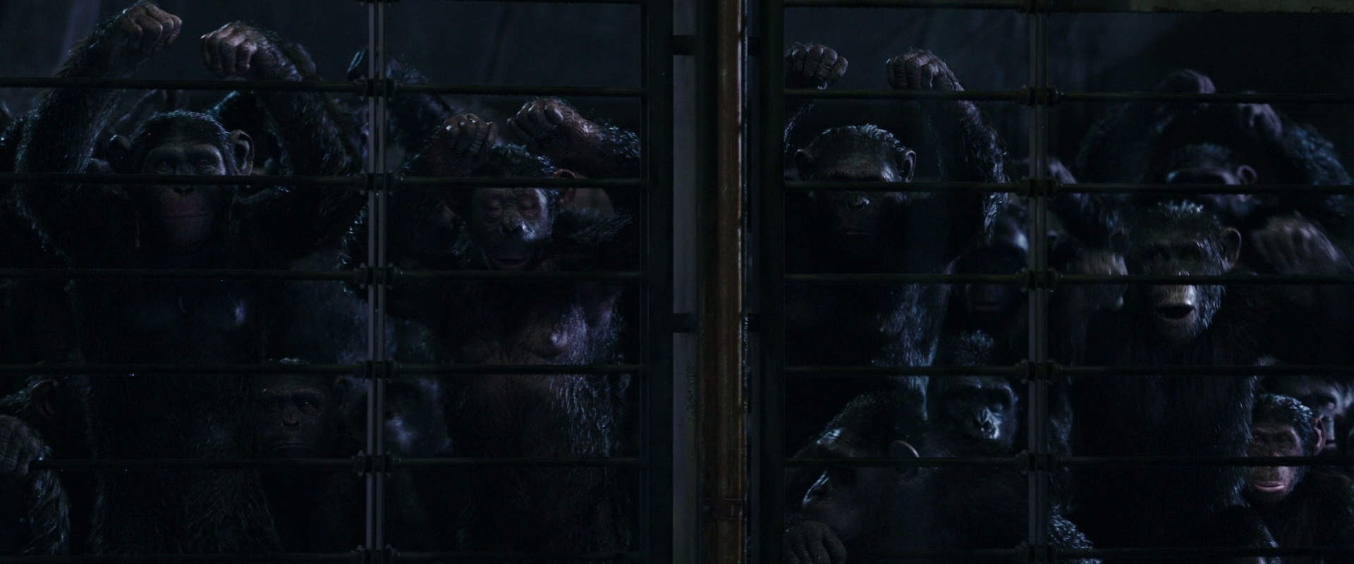 War for the Planet of the Apes (2017) HD screenshot 11018