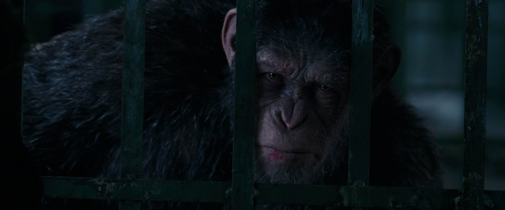 War for the Planet of the Apes (2017) screencap 11019