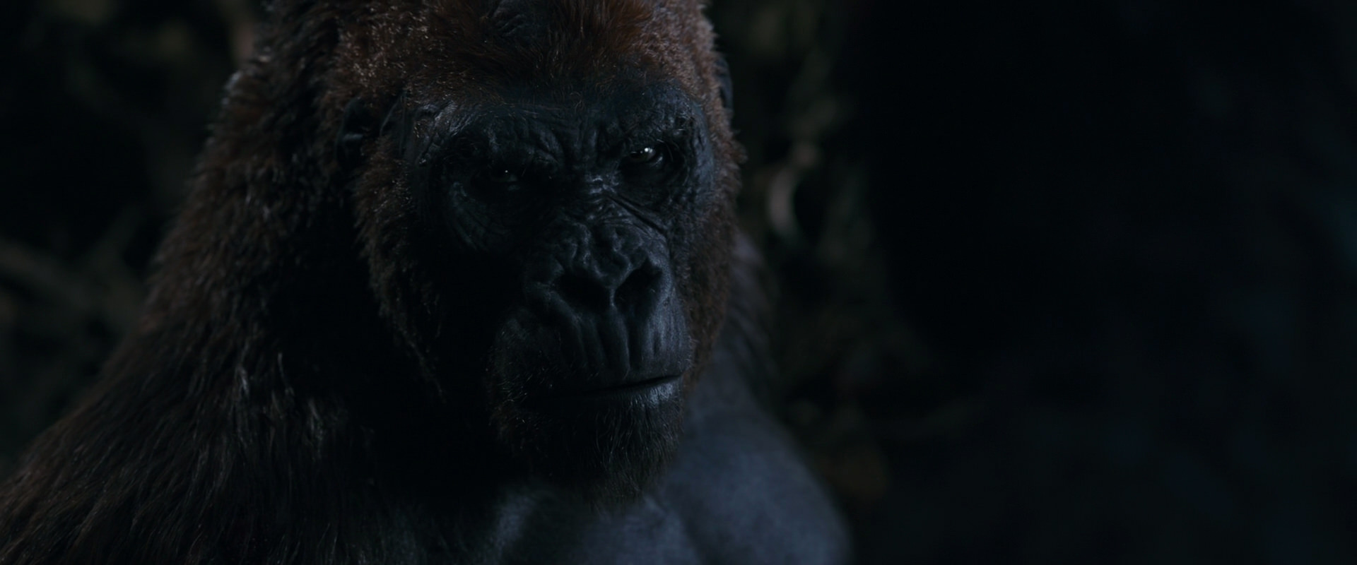 War for the Planet of the Apes (2017) movie still 1102