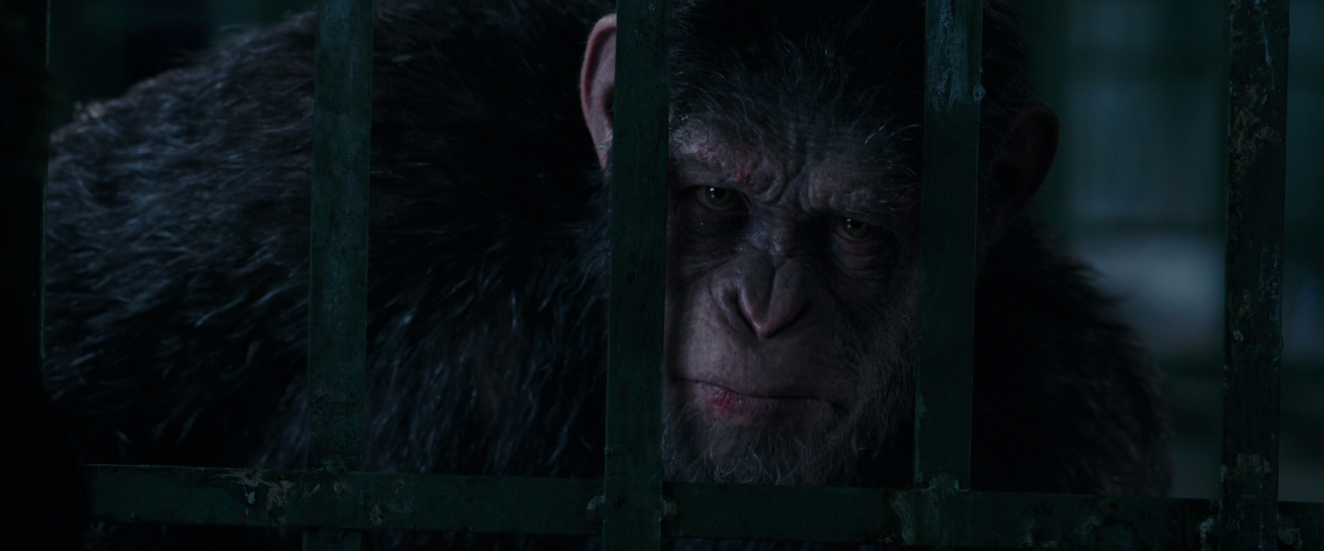 War for the Planet of the Apes (2017) movie still 11020