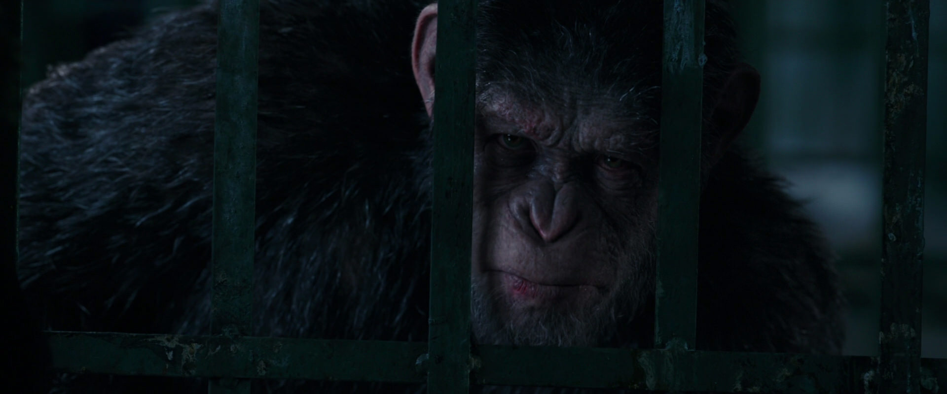 War for the Planet of the Apes (2017) HD screenshot 11021