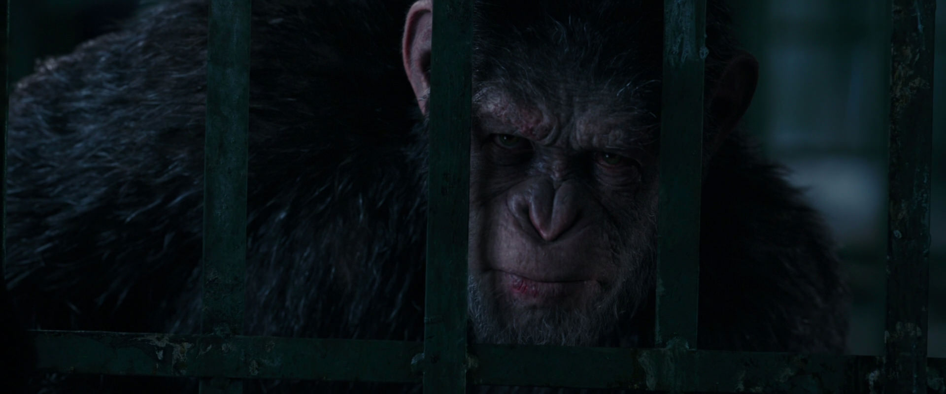 War for the Planet of the Apes (2017) screencap 11022