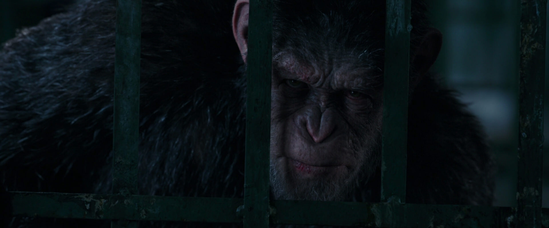 War for the Planet of the Apes (2017) movie still 11023