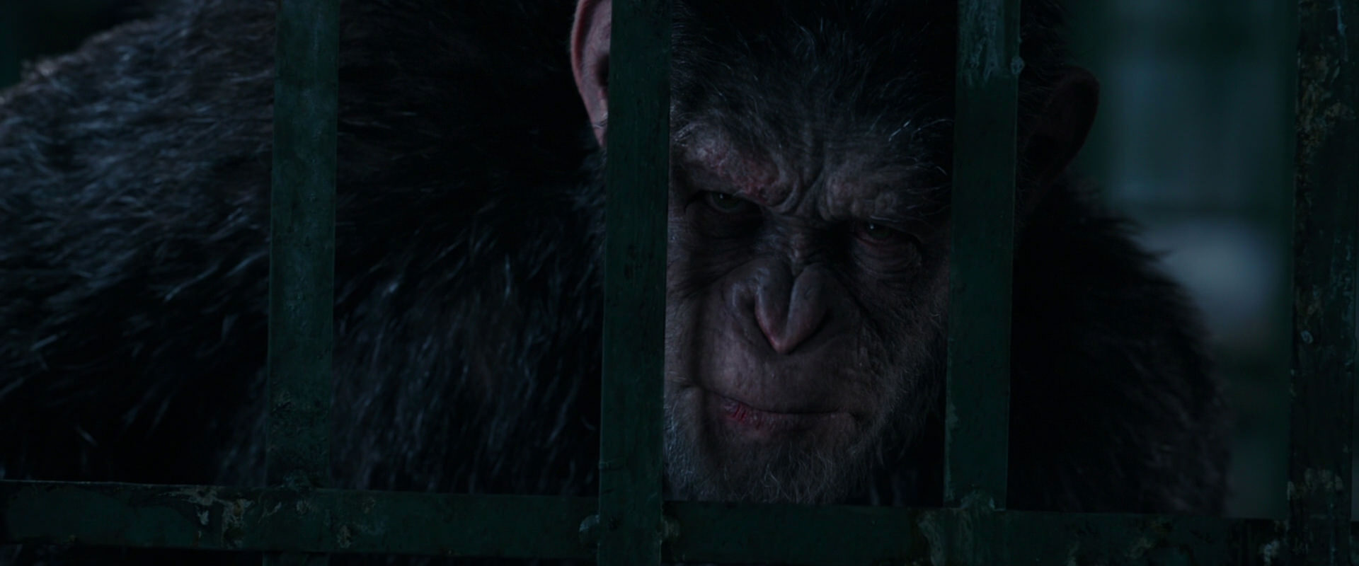 War for the Planet of the Apes (2017) HD screenshot 11024