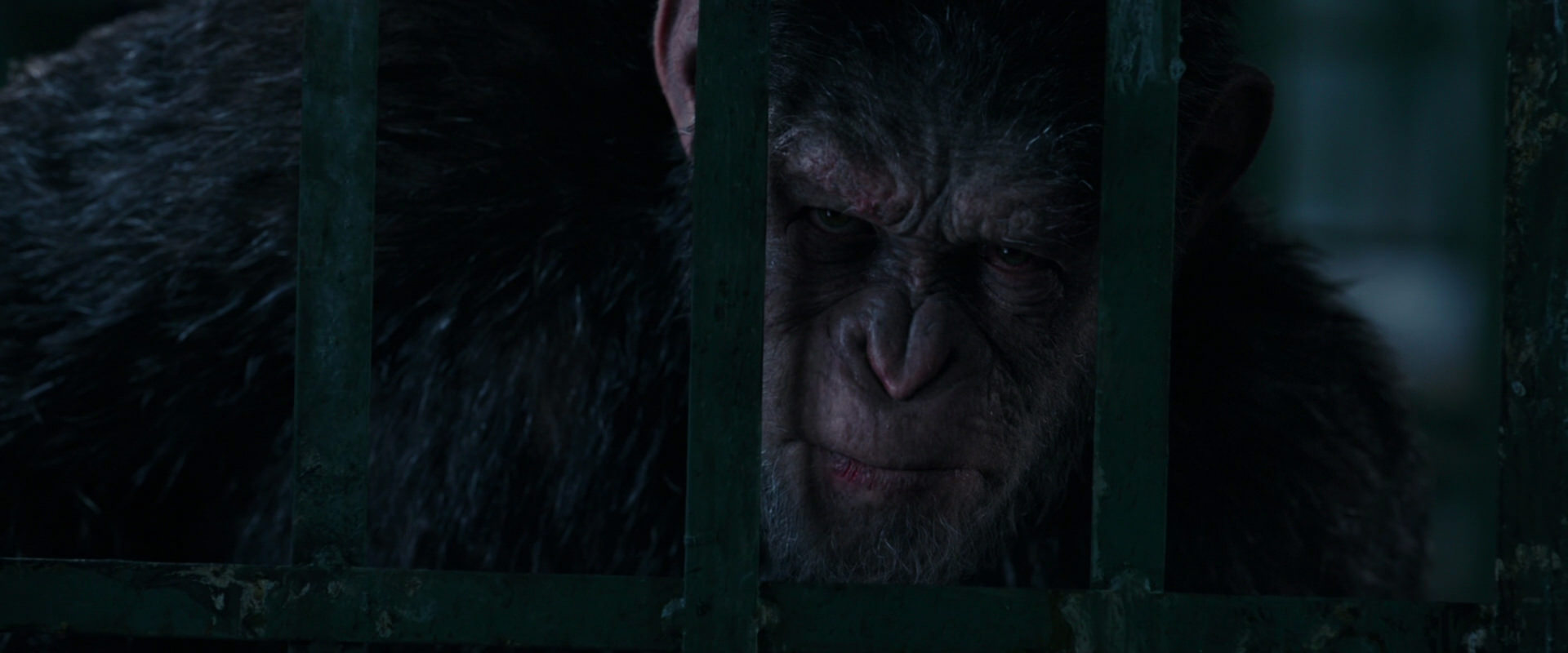 War for the Planet of the Apes (2017) screencap 11025
