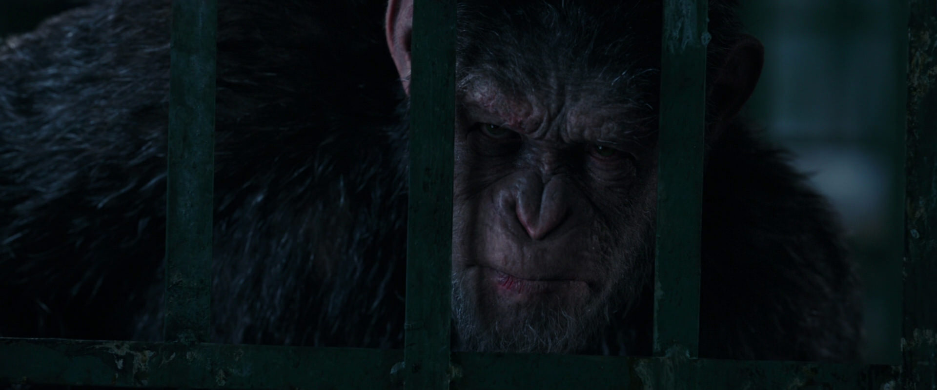 War for the Planet of the Apes (2017) movie still 11026
