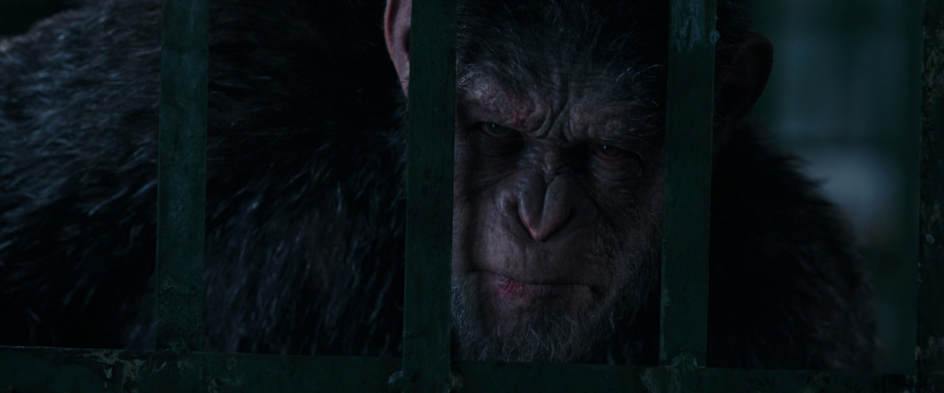 War for the Planet of the Apes (2017) HD screenshot 11027