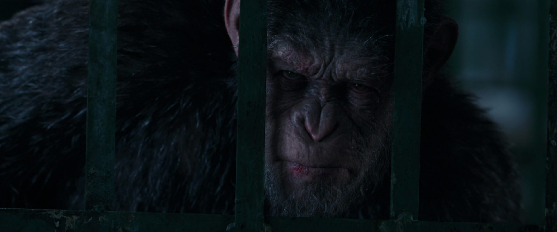 War for the Planet of the Apes (2017) screencap 11028