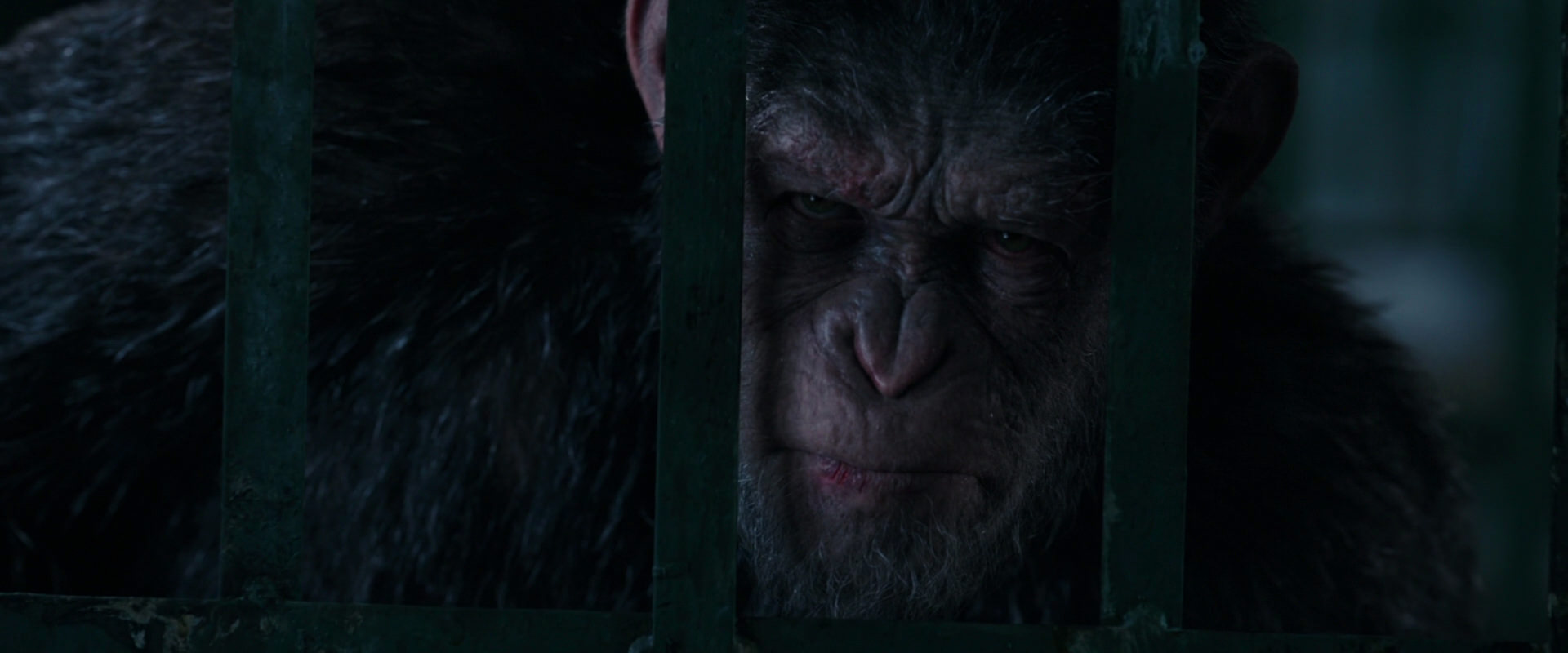 War for the Planet of the Apes (2017) movie still 11029