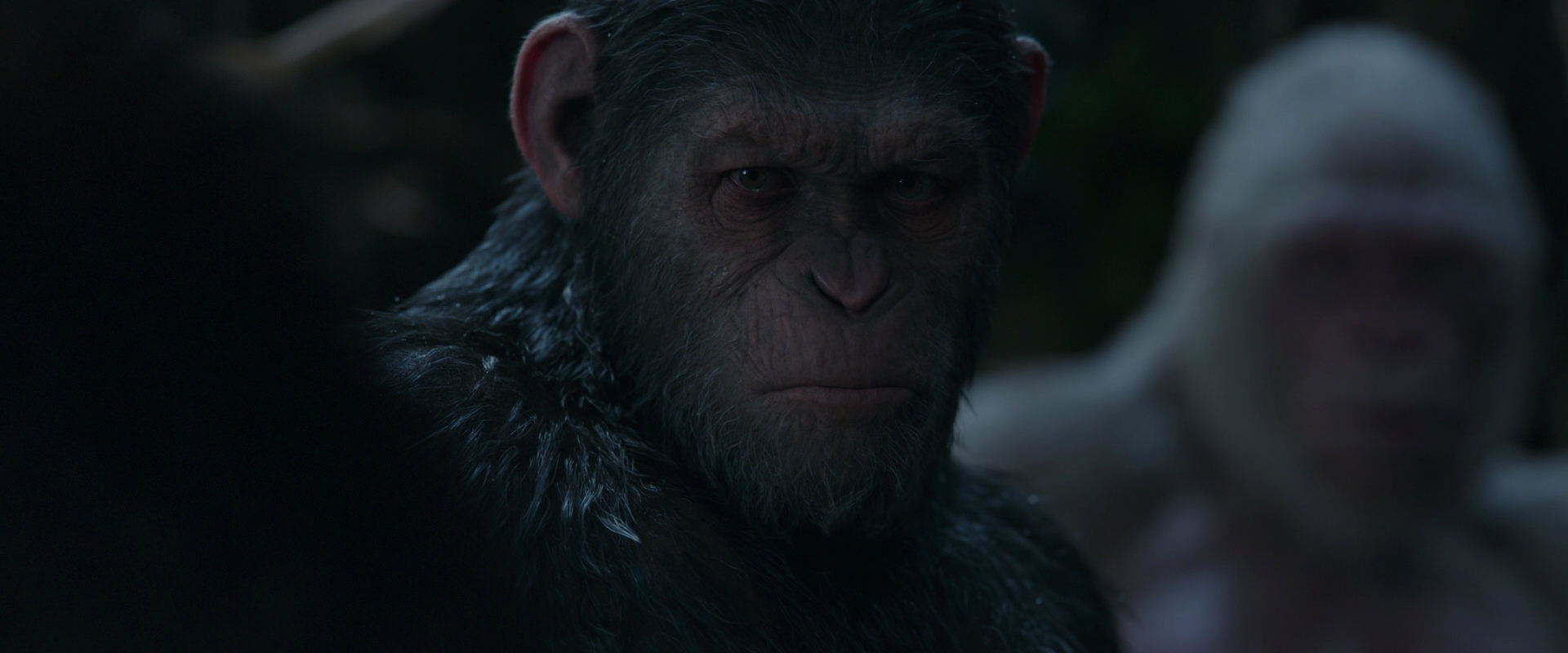 War for the Planet of the Apes (2017) HD screenshot 1103