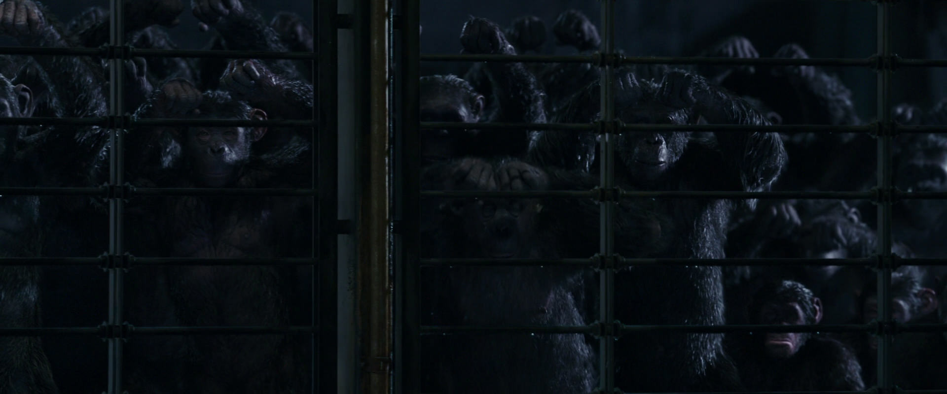 War for the Planet of the Apes (2017) HD screenshot 11030