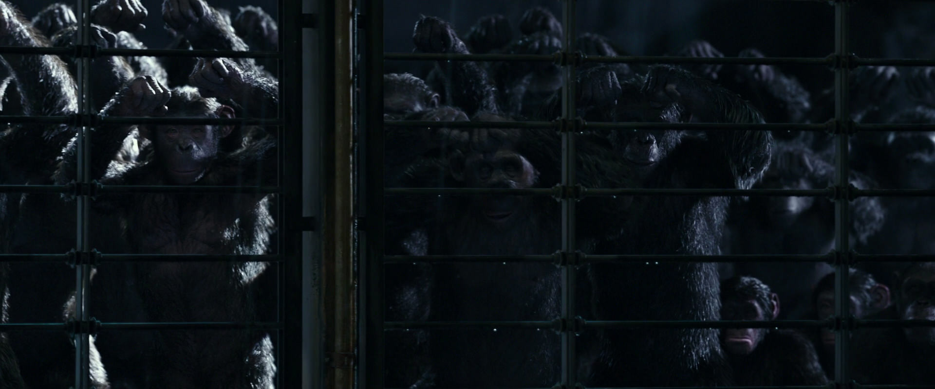 War for the Planet of the Apes (2017) screencap 11031