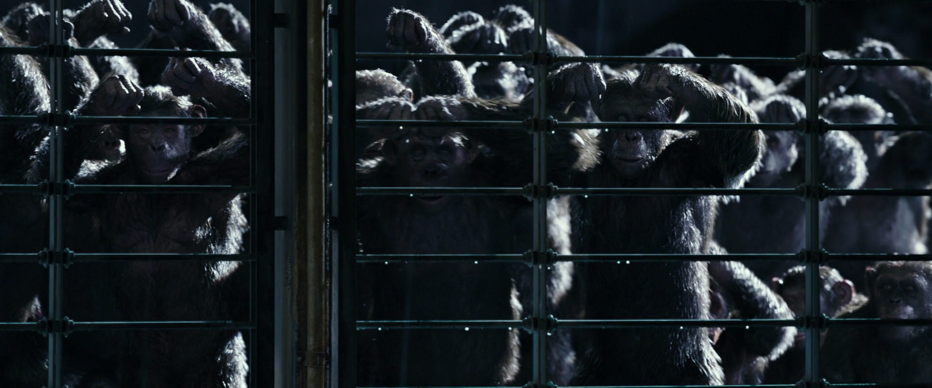 War for the Planet of the Apes (2017) movie still 11032