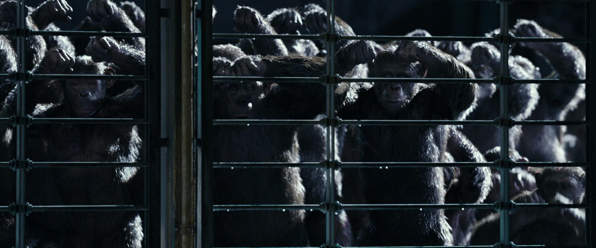 War for the Planet of the Apes (2017) HD screenshot 11033