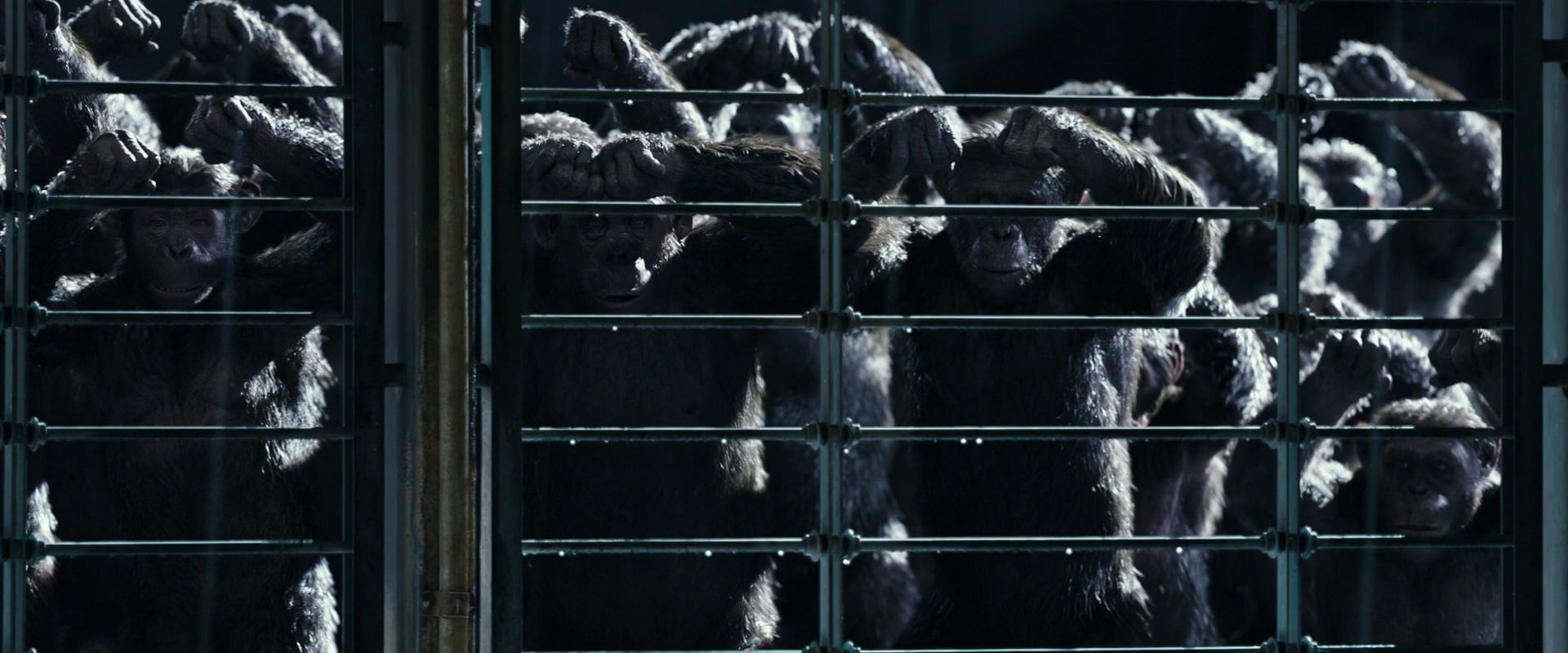 War for the Planet of the Apes (2017) screencap 11034