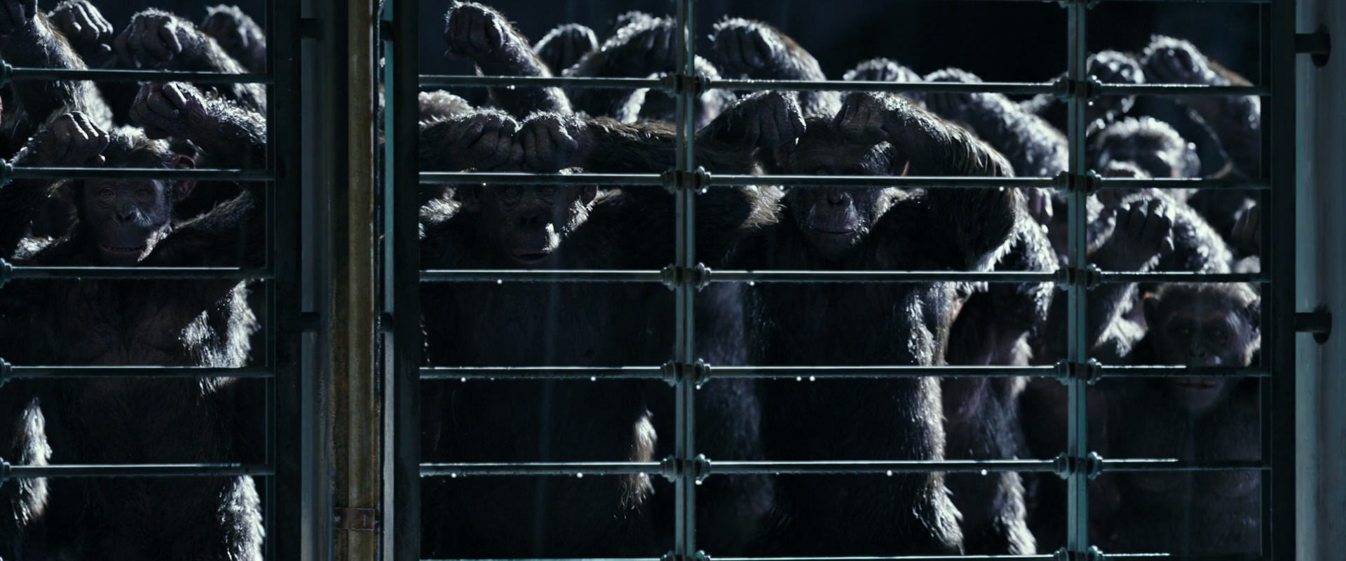 War for the Planet of the Apes (2017) movie still 11035