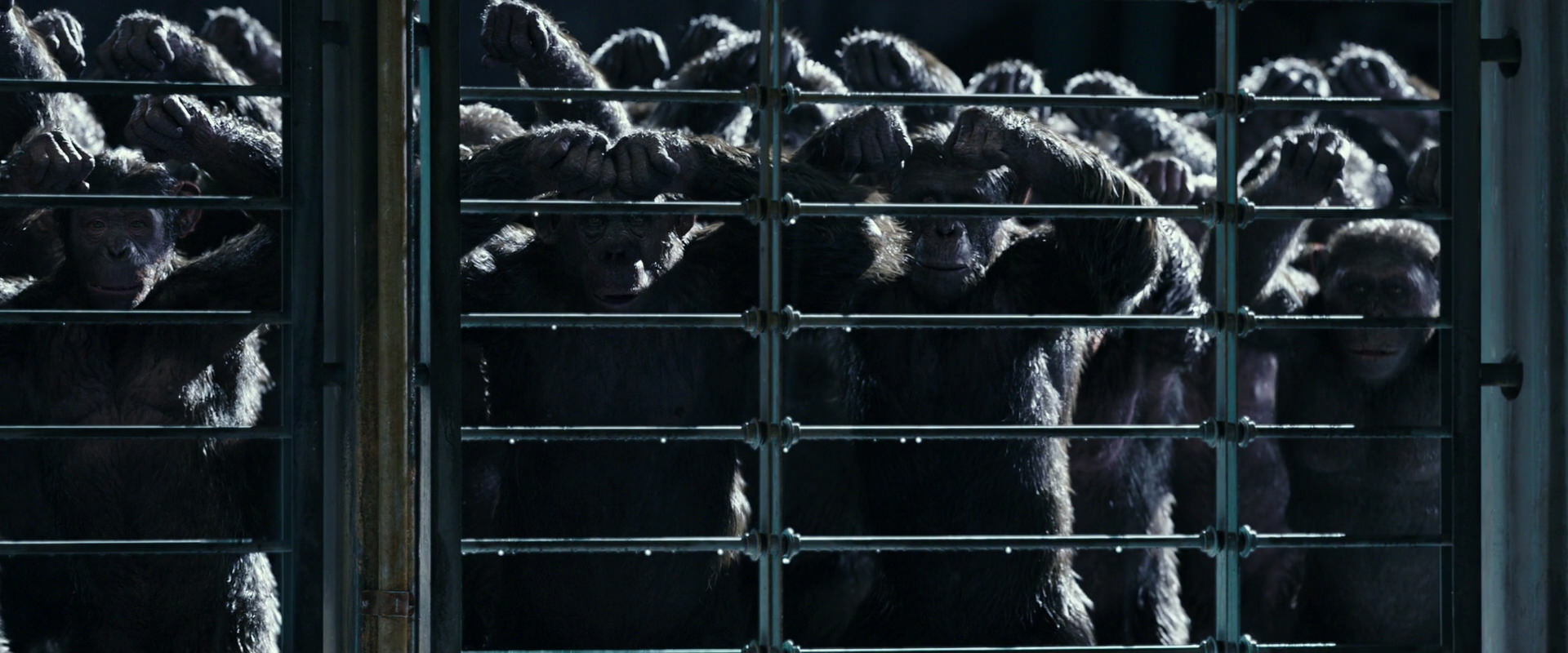 War for the Planet of the Apes (2017) HD screenshot 11036