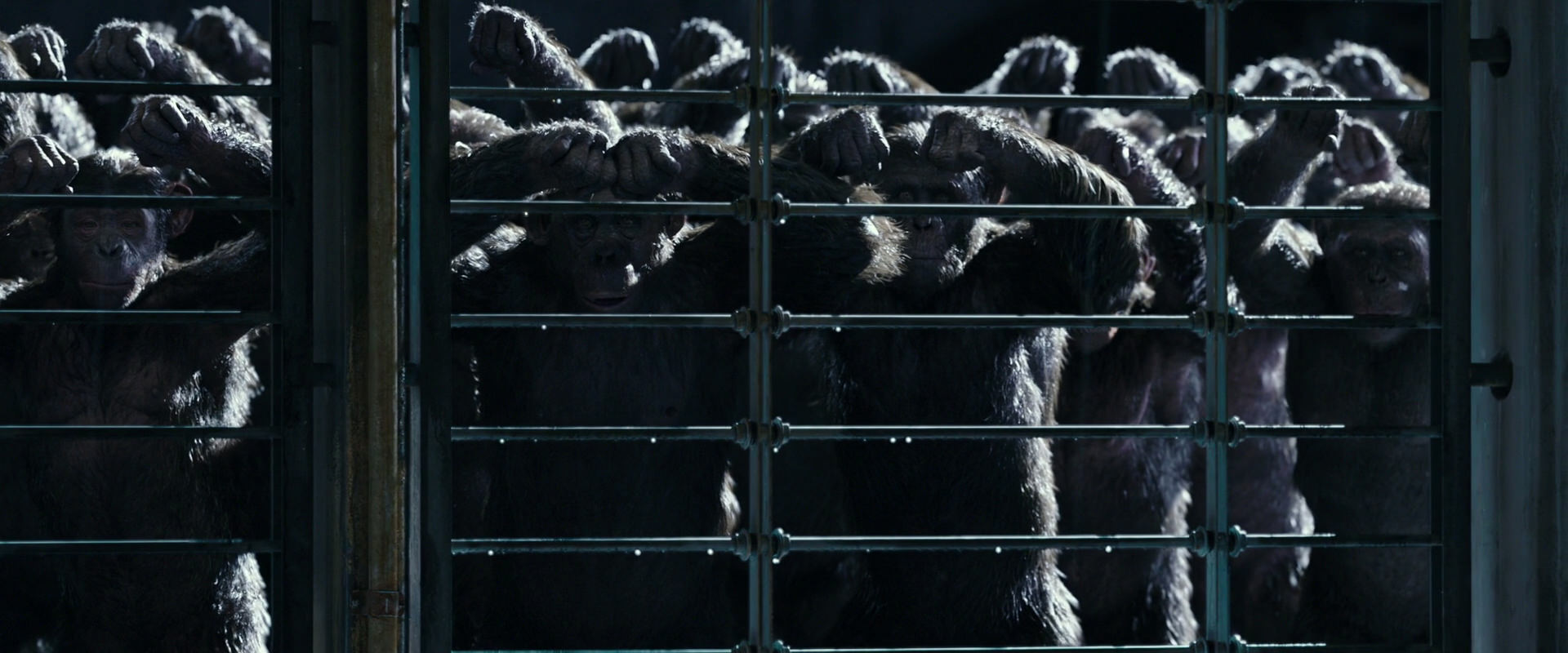 War for the Planet of the Apes (2017) screencap 11037