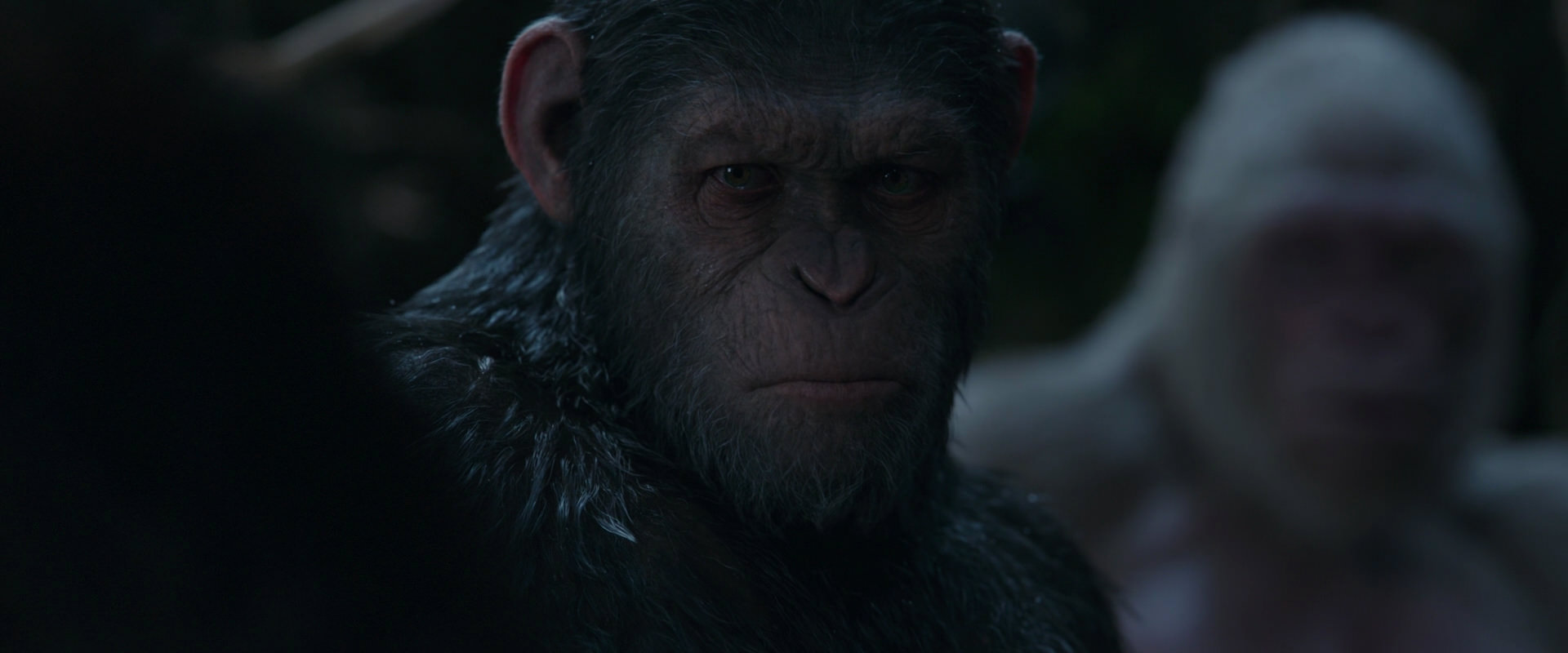 War for the Planet of the Apes (2017) screencap 1104