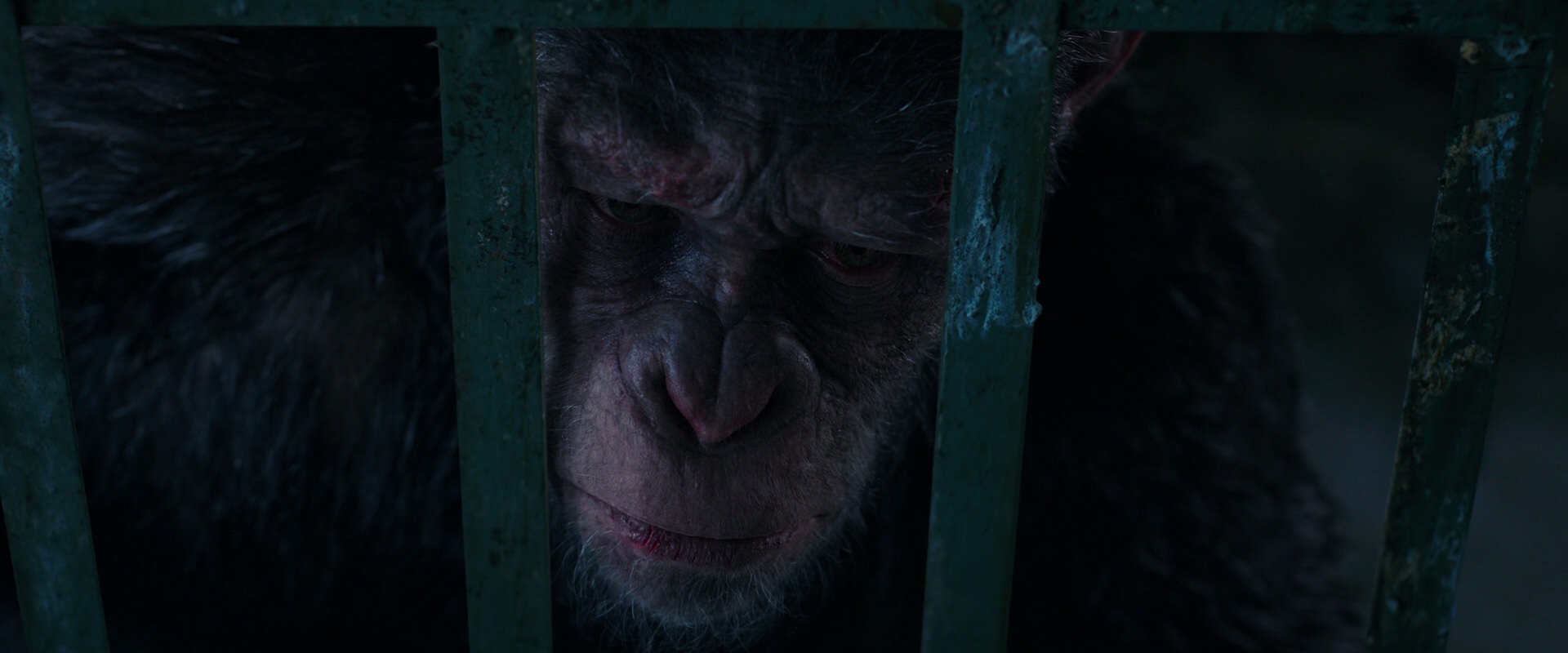 War for the Planet of the Apes (2017) screencap 11046