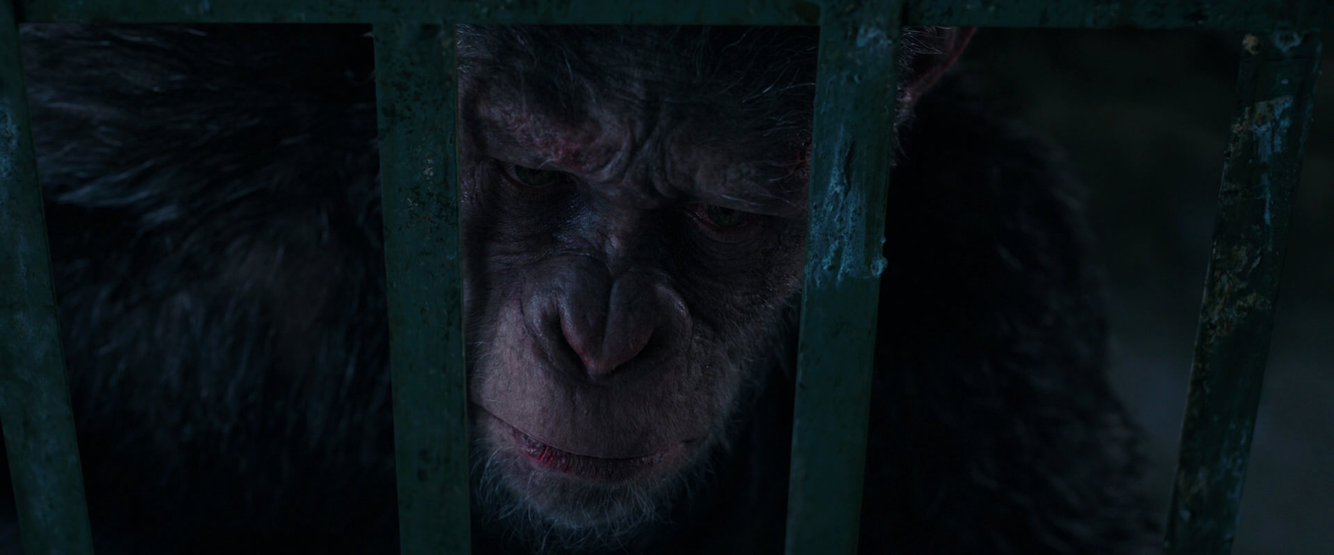 War for the Planet of the Apes (2017) movie still 11047