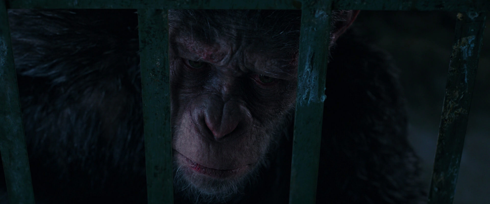 War for the Planet of the Apes (2017) HD screenshot 11048