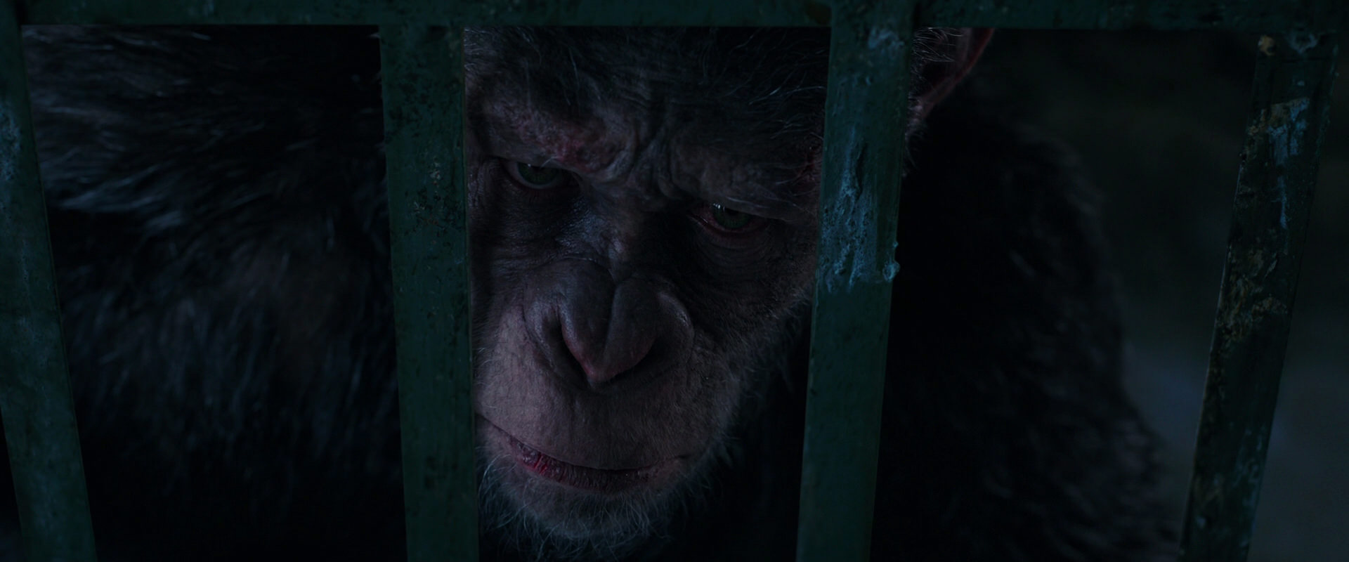 War for the Planet of the Apes (2017) screencap 11049