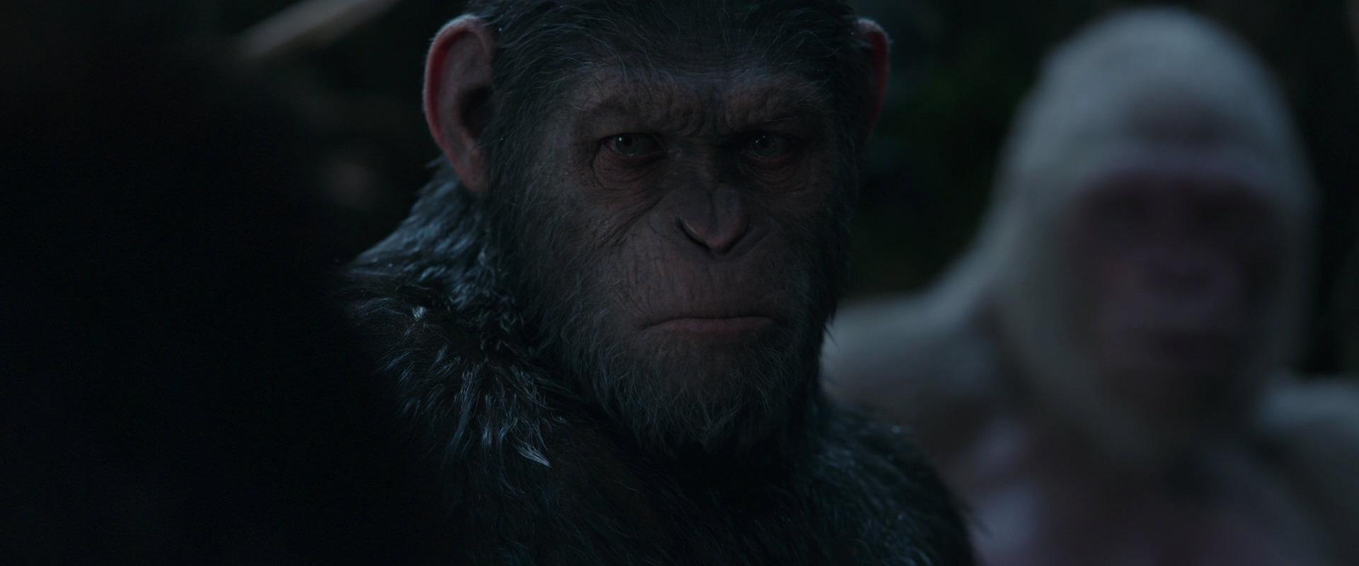 War for the Planet of the Apes (2017) movie still 1105