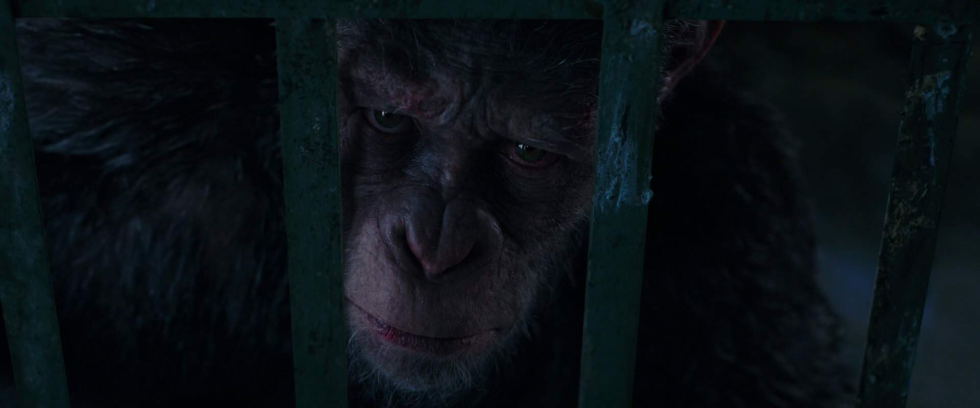War for the Planet of the Apes (2017) HD screenshot 11051
