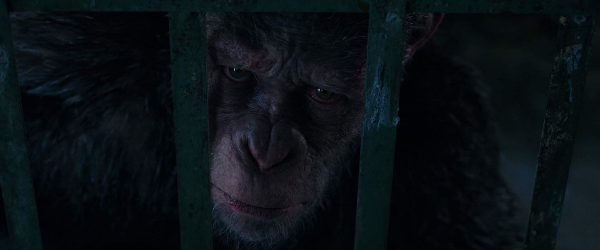 War for the Planet of the Apes (2017) screencap 11052