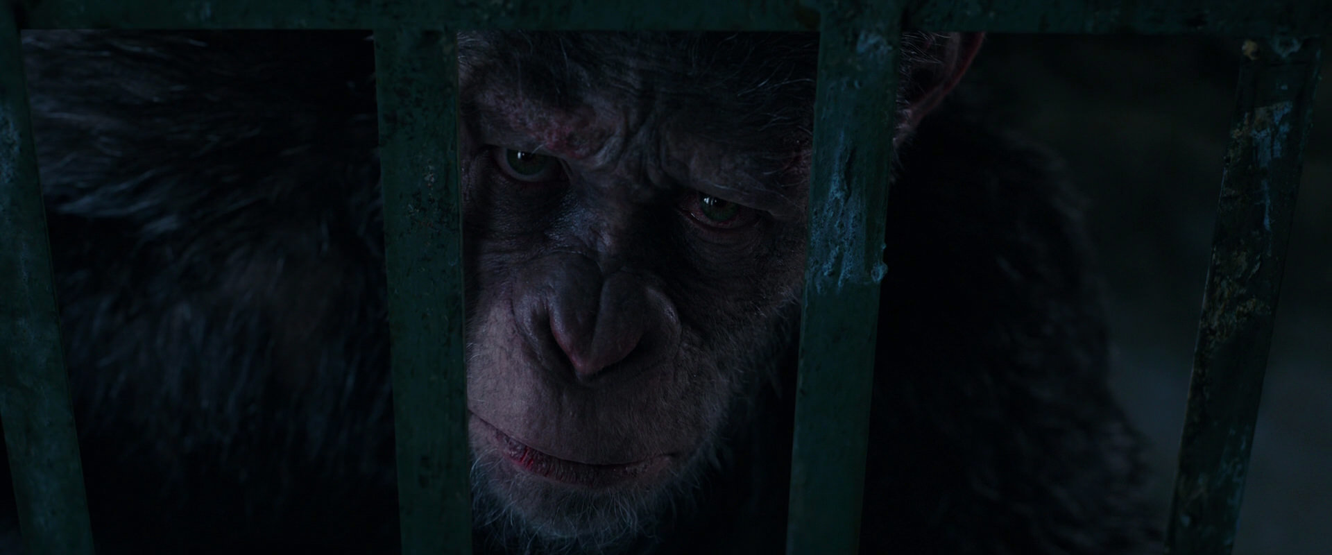 War for the Planet of the Apes (2017) movie still 11053