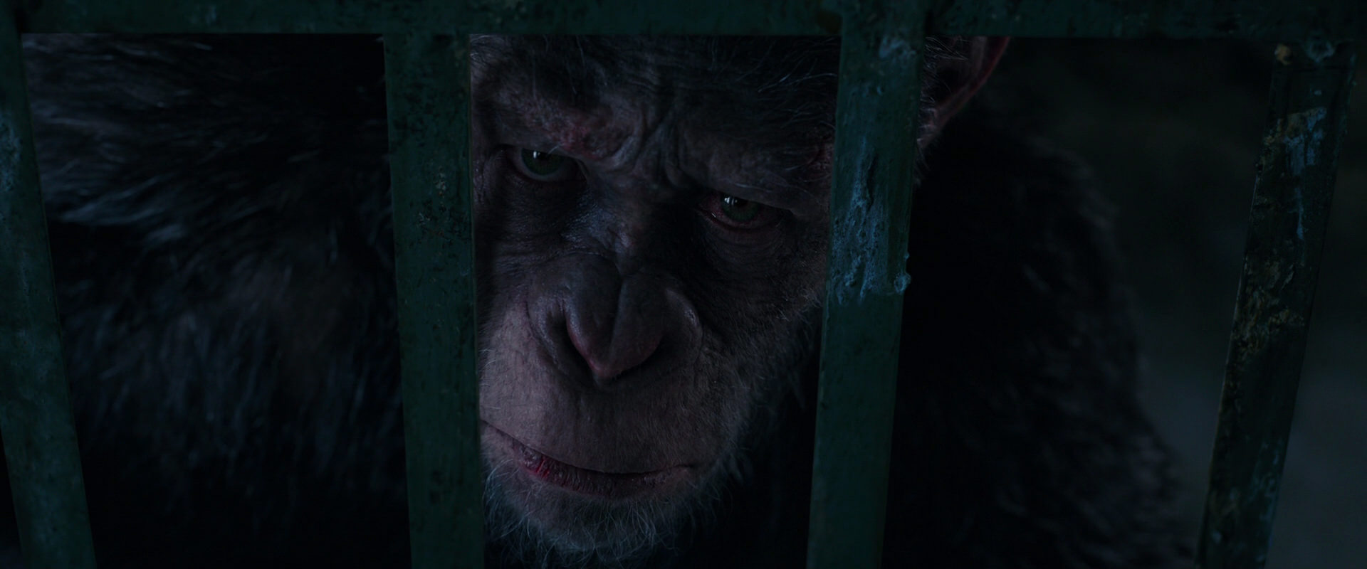 War for the Planet of the Apes (2017) HD screenshot 11054