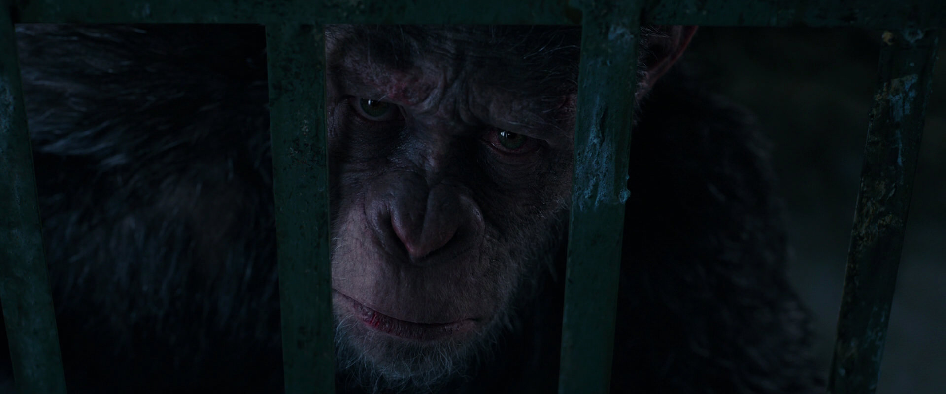 War for the Planet of the Apes (2017) screencap 11055