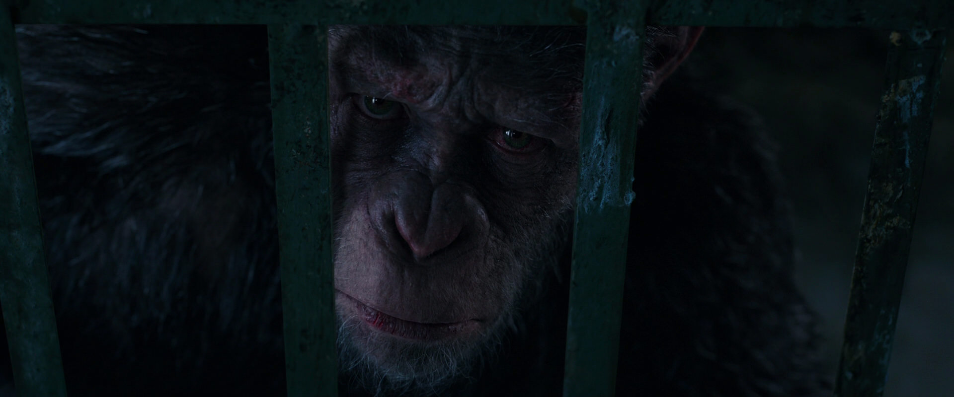 War for the Planet of the Apes (2017) movie still 11056
