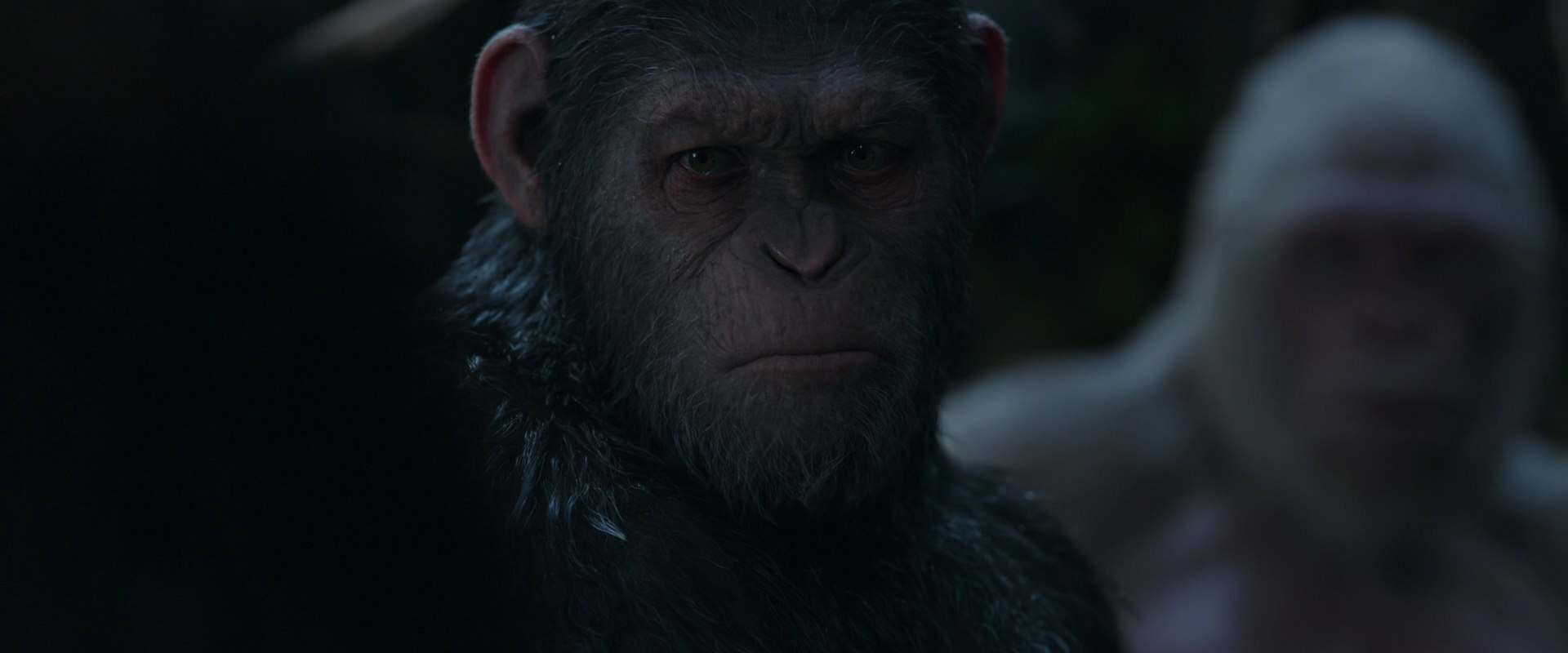 War for the Planet of the Apes (2017) HD screenshot 1106