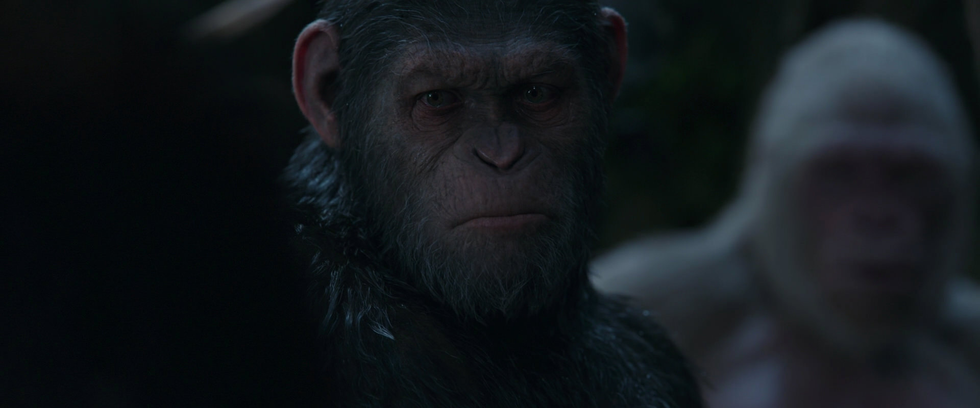 War for the Planet of the Apes (2017) screencap 1107