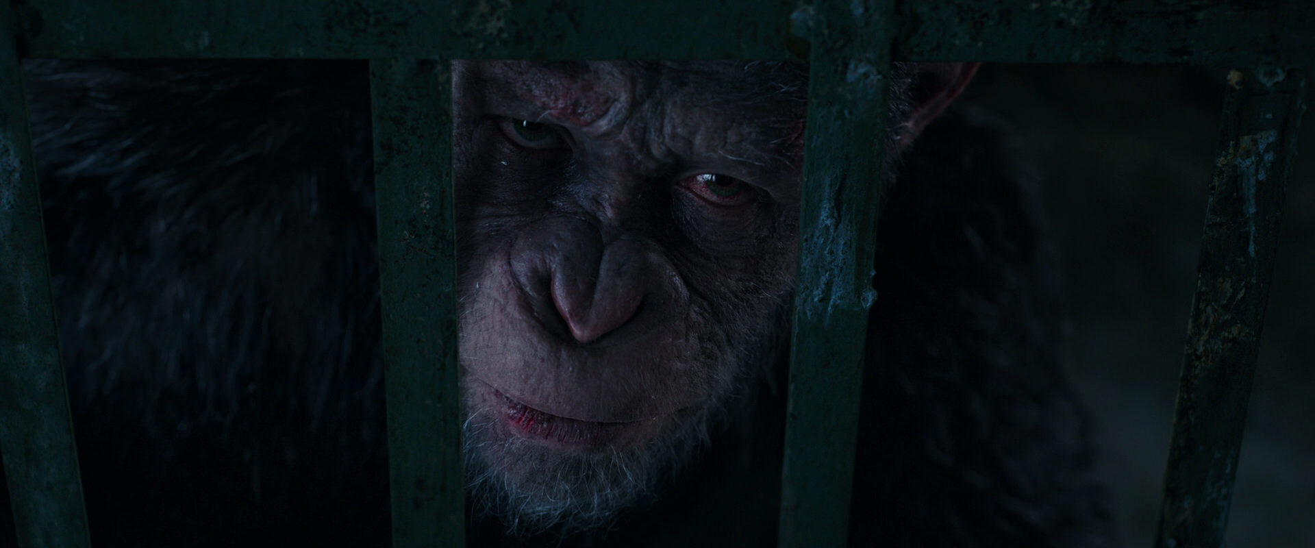 War for the Planet of the Apes (2017) movie still 11071