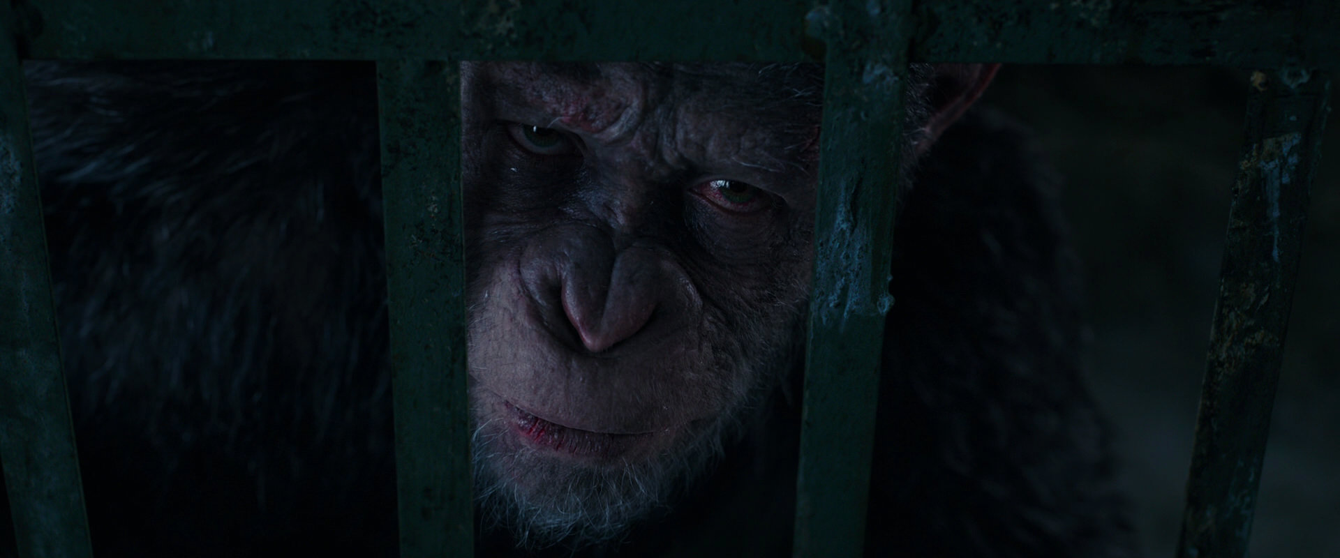 War for the Planet of the Apes (2017) HD screenshot 11075