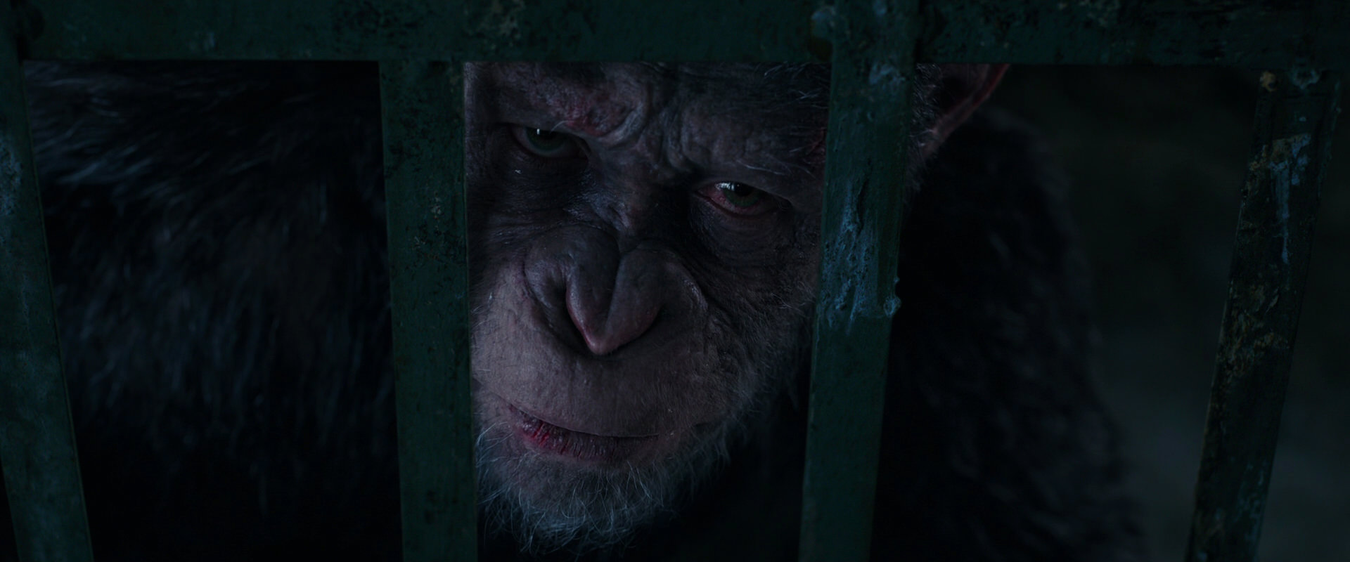 War for the Planet of the Apes (2017) screencap 11076