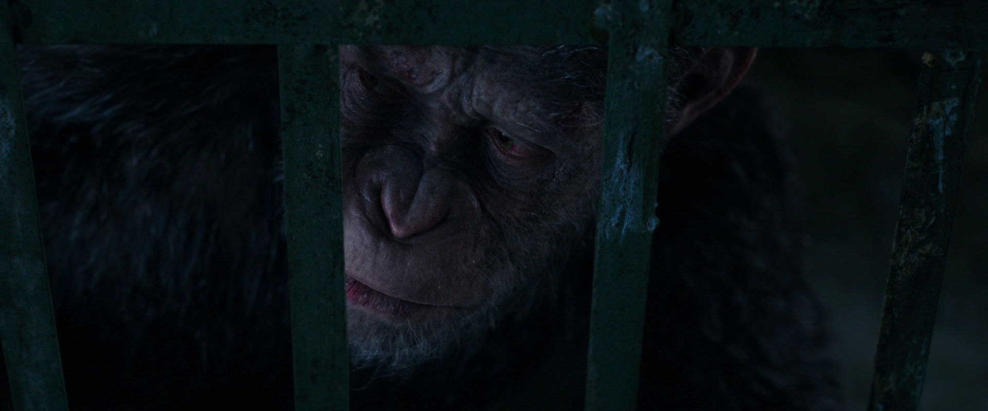 War for the Planet of the Apes (2017) HD screenshot 11078